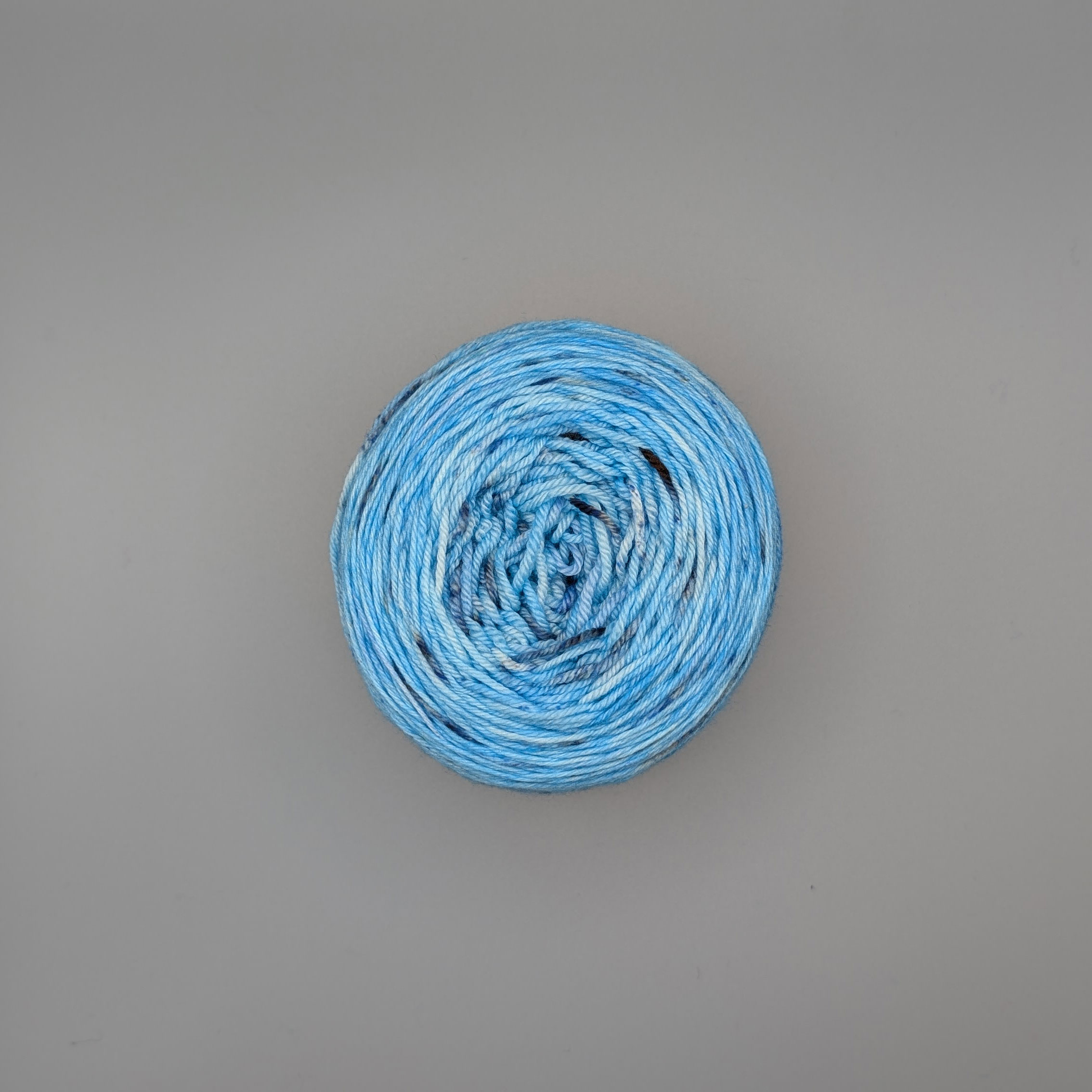 wolldackel-pure-x-prince-harry-28-3