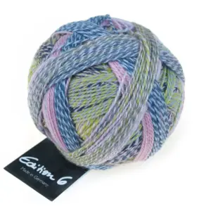 Edition 6 (Schoppel)