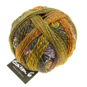 Edition 6 (Schoppel)