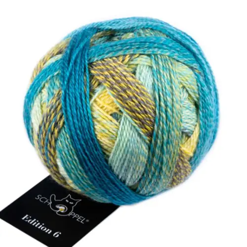 Schoppel Edition 6 in der Farbe 2401 Teils Heiter