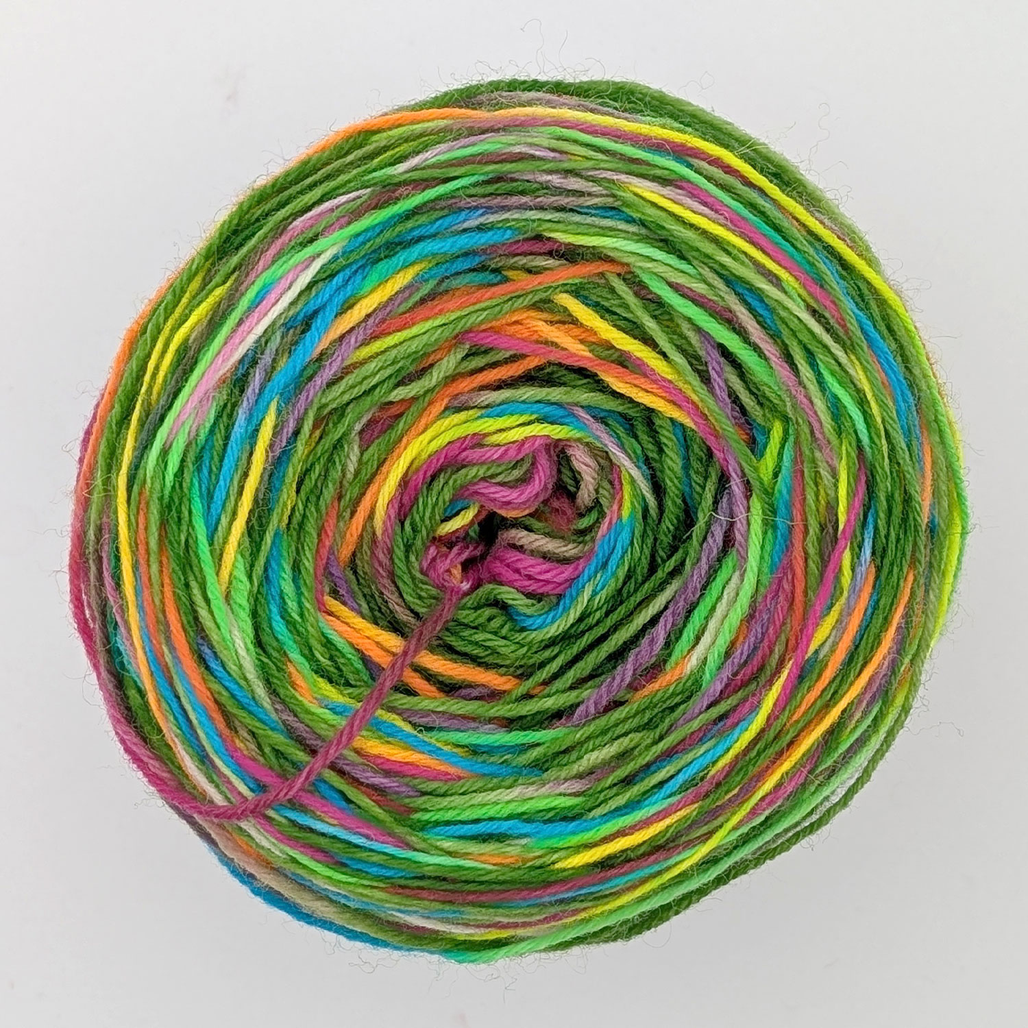 wolldackel-31-aniwaniwa-green-3