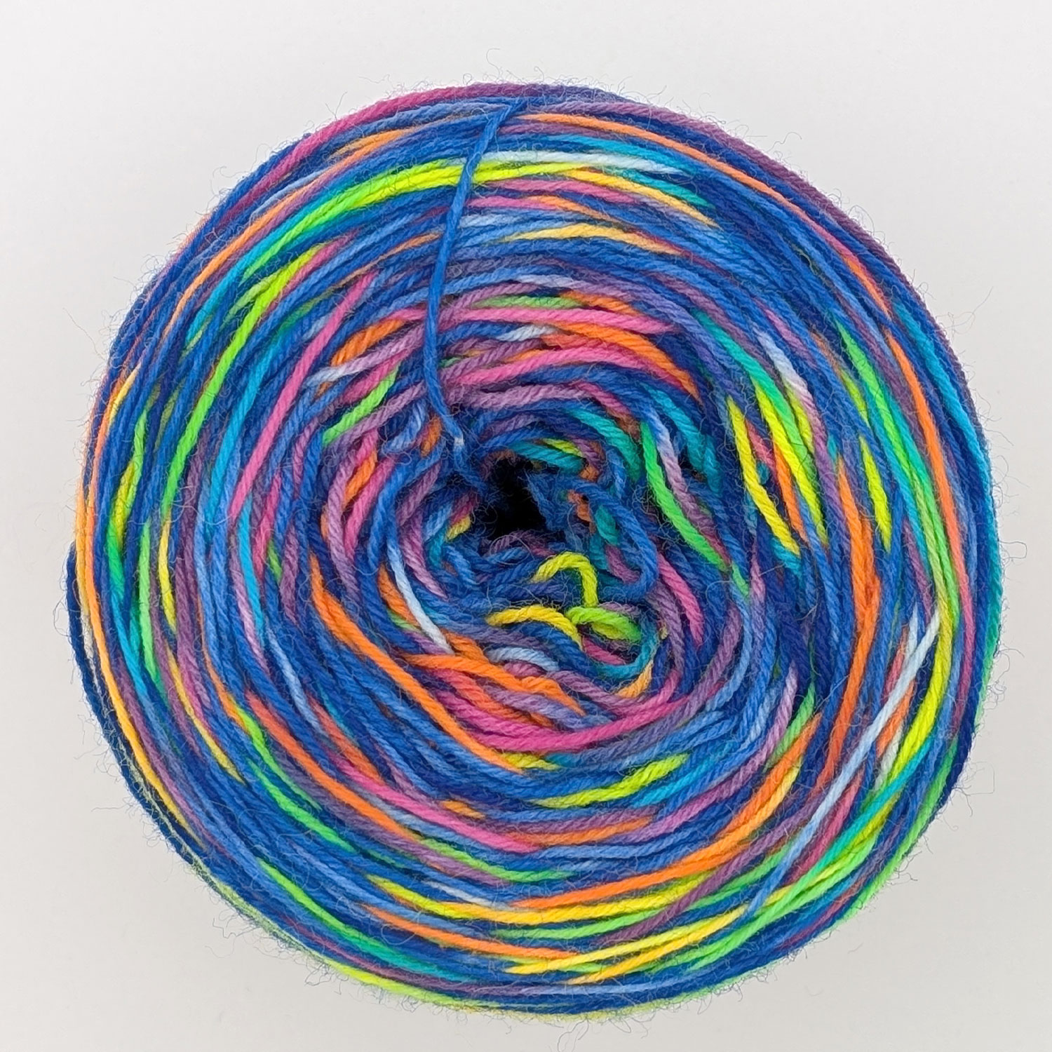 wolldackel-34-aniwaniwa-royal-3