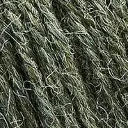 34 Pinie (Lamana Merida)