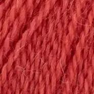 15 Chili (Lamana Piura)