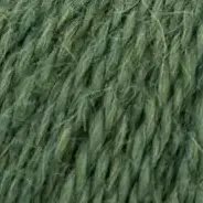 34 Pinie (Lamana Piura)