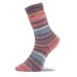 woolly-hugs-weltrekordsocken-3-3 Weltrekord Sockenwolle von Woolly hugs